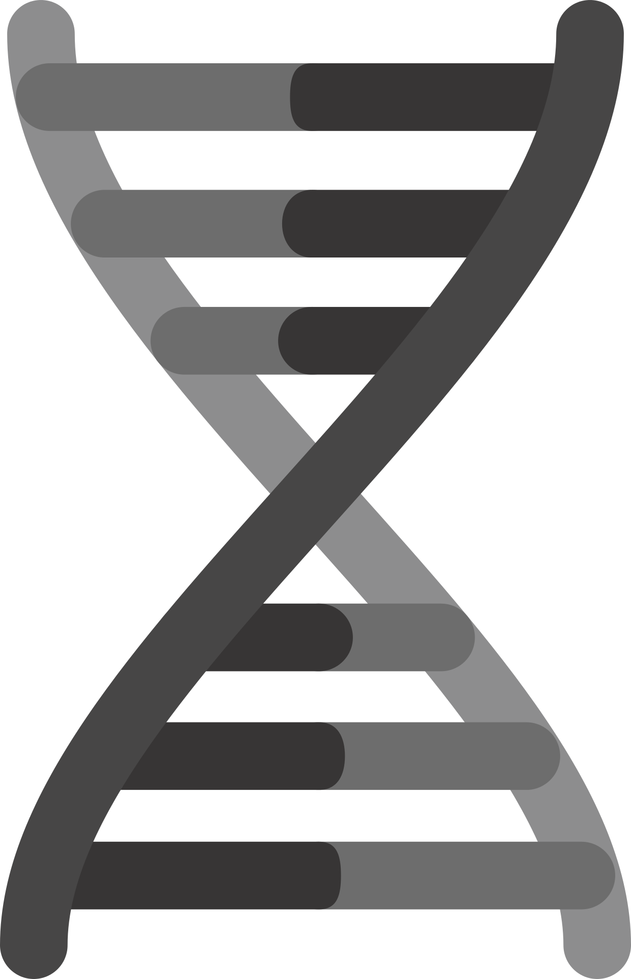 Vector graphic of DNA double helix
